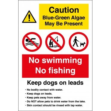 Blue Green Algae Safety Sign