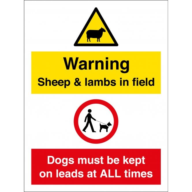 Sheep And Lambs In Field Keep Dogs On Leads Sign