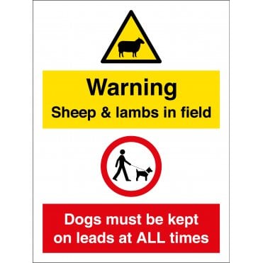 Sheep And Lambs In Field Keep Dogs On Leads Sign